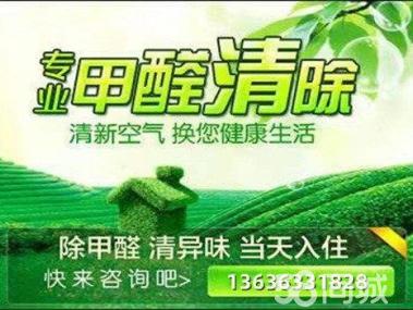 母嬰甲醛治理服務工裝家裝除甲醛工廠,空氣凈化提供甲醛檢測、汽車除醛、甲醛治理/除甲醛服務